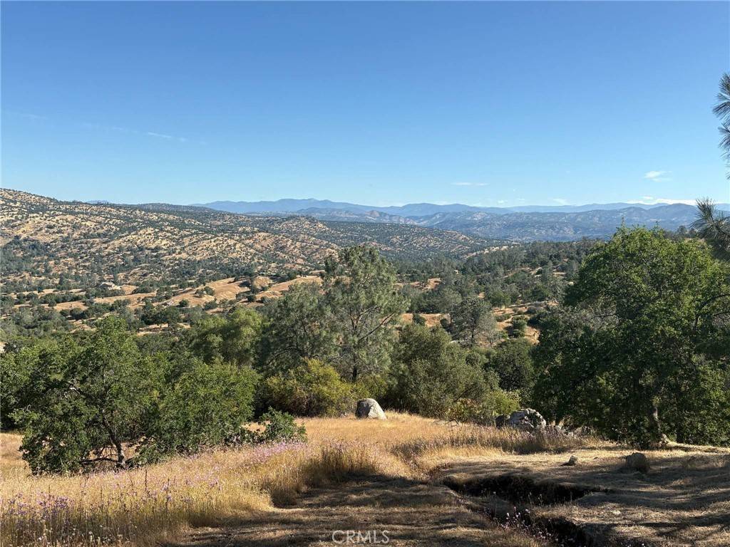 Coarsegold, CA 93614,29777 Lilley Mountain CT