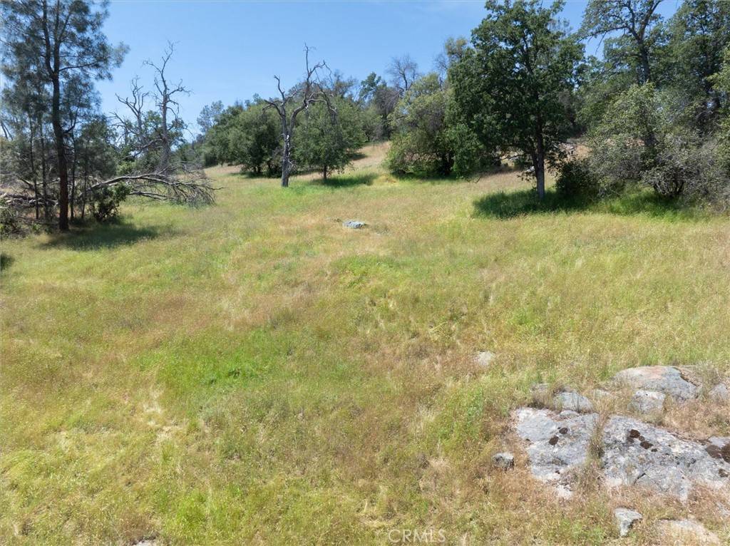 Coarsegold, CA 93614,23 Oak Springs Lane