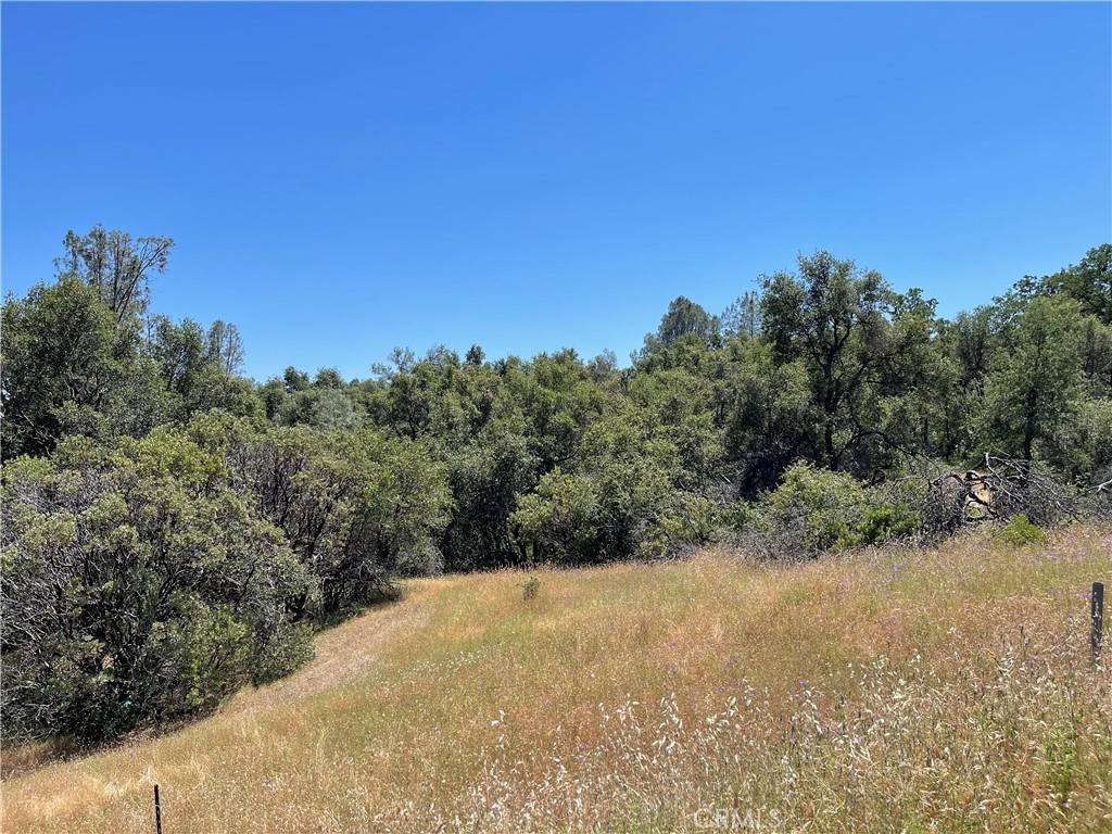 North Fork, CA 93643,25 Boulder Creek DR