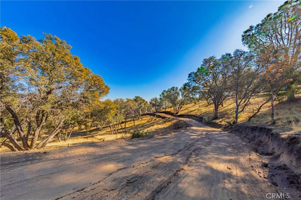 Coarsegold, CA 93614,1 Jennifer WAY