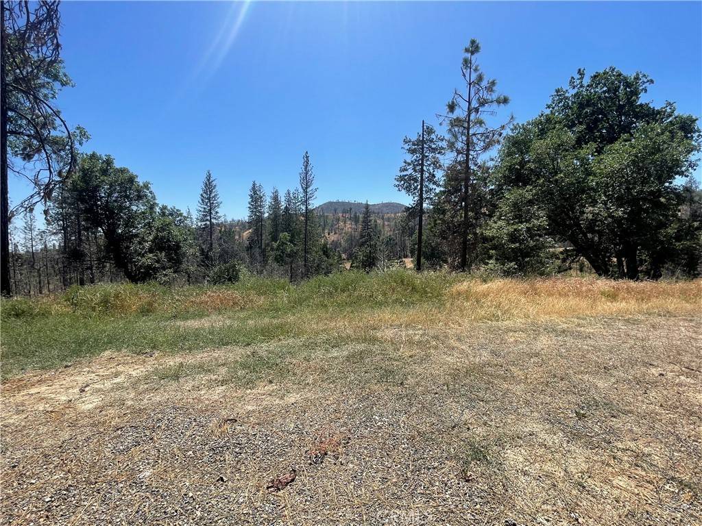 Mariposa, CA 95338,6264 Jerseydale RD