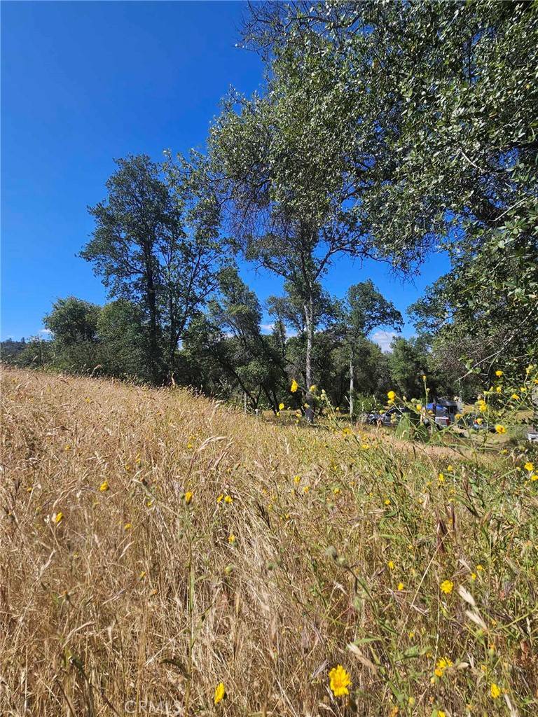 Mariposa, CA 95338,5 AC Ashworth RD