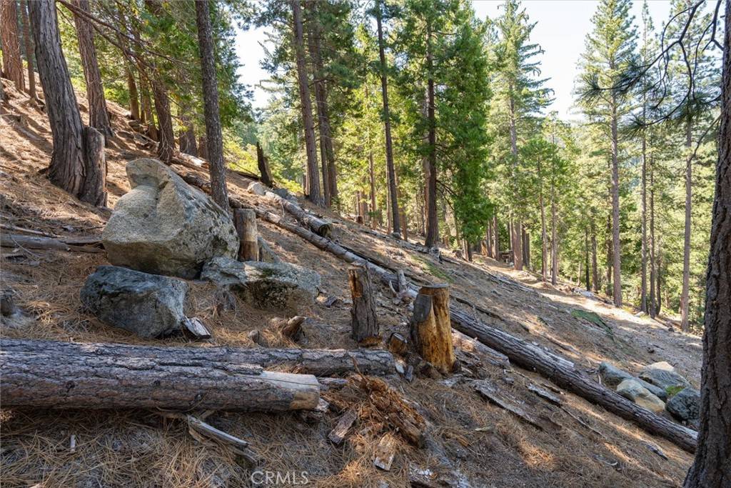 Yosemite, CA 95389,7477 Yosemite Park WAY