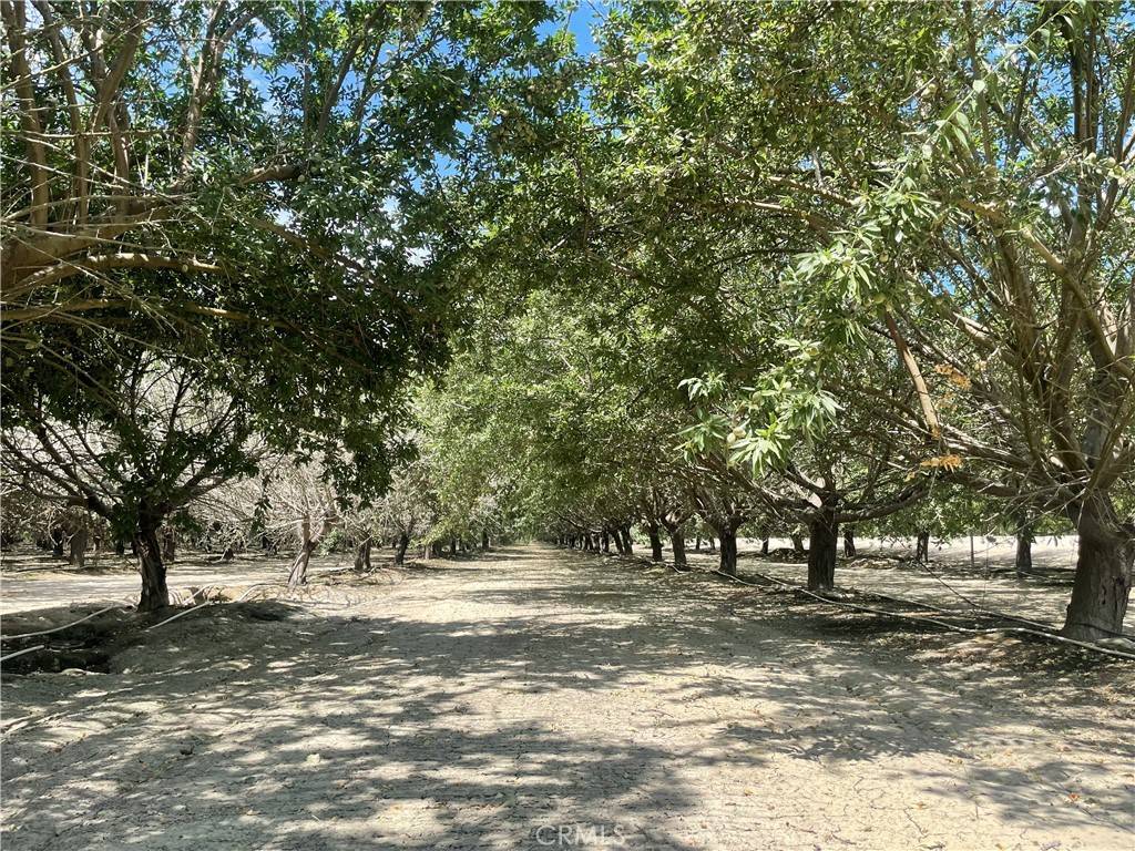 Kerman, CA 93630,1 S Butte AVE