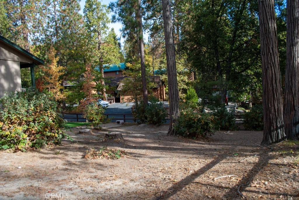 Bass Lake, CA 93604,54648 Willow Cove