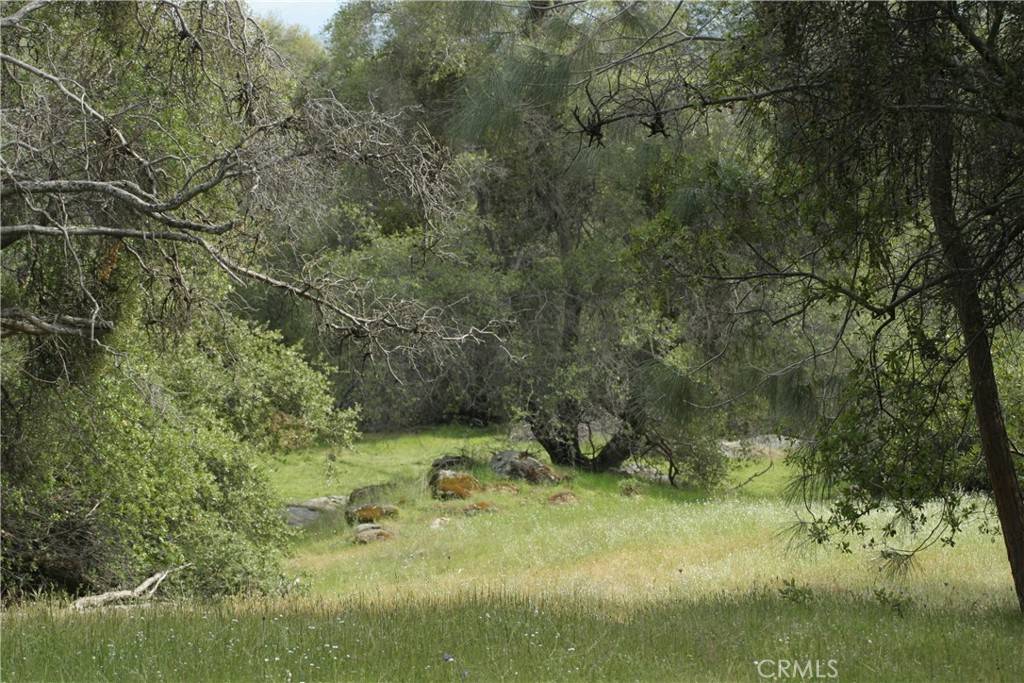 O'neals, CA 93645,0 39.21 AC Ward Mountain Dr.