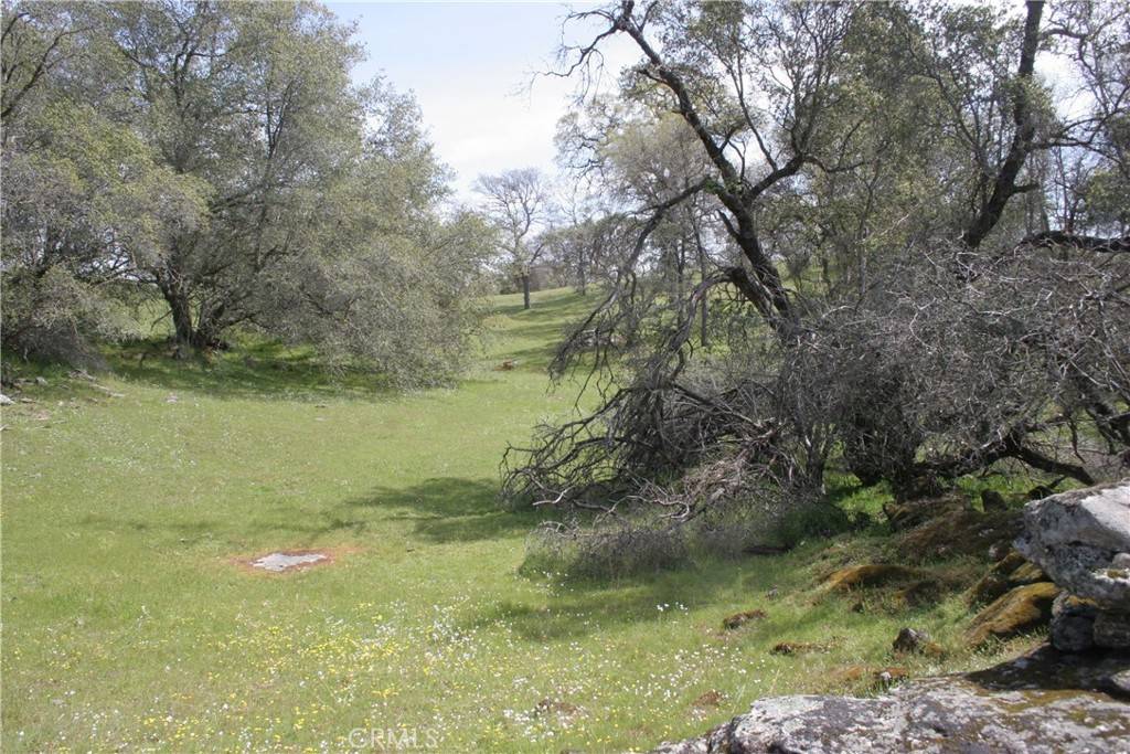 O'neals, CA 93645,0 39.21 AC Ward Mountain Dr.