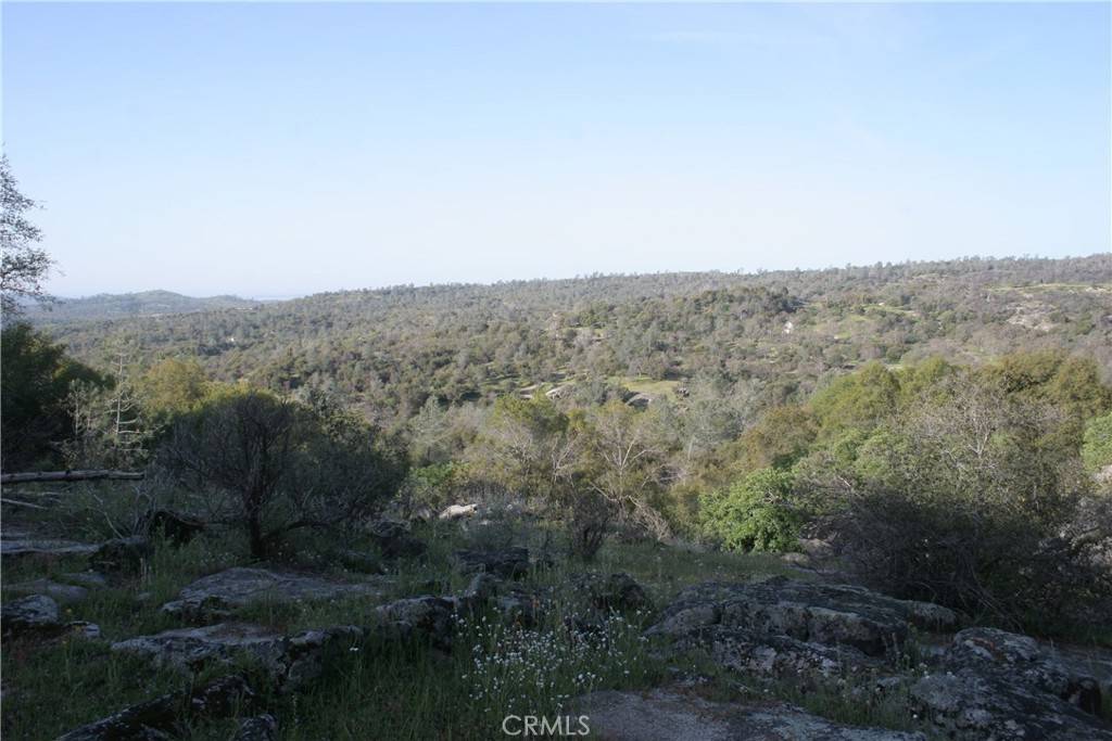 O'neals, CA 93645,0 39.21 AC Ward Mountain Dr.