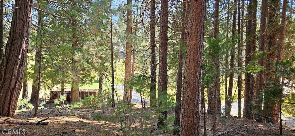 North Fork, CA 93643,108 Forest RD