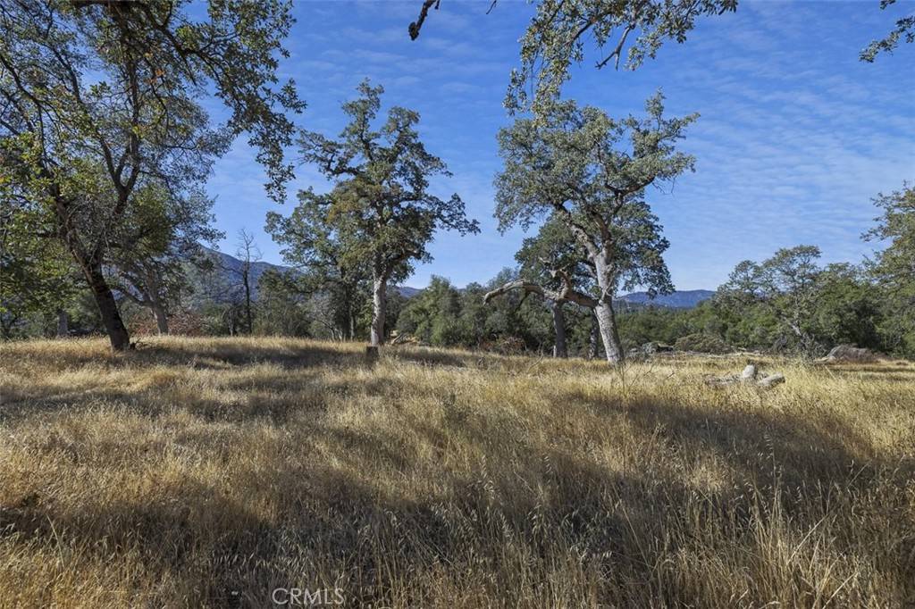 Oakhurst, CA 93644,0 39.29 AC Village DR