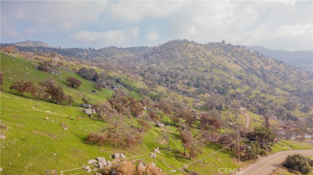 Squaw Valley, CA 93675,0 Pepperweed