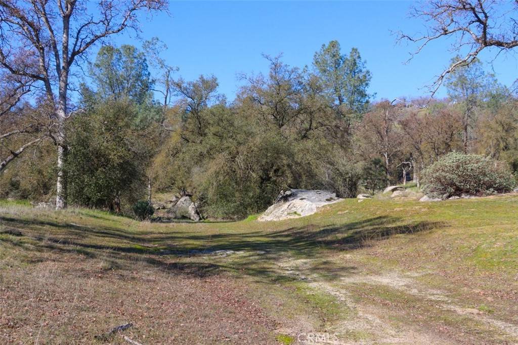 Coarsegold, CA 93614,0 6.48 AC Long Hollow DR