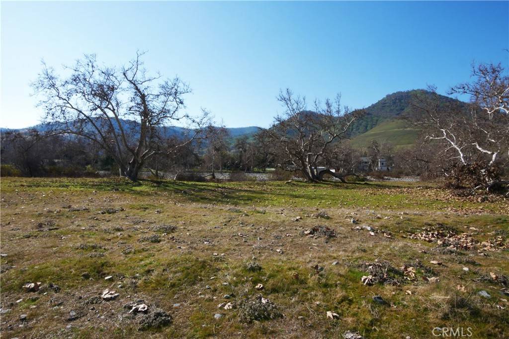 Sanger, CA 93657,333 Lot, Live Oak Dr