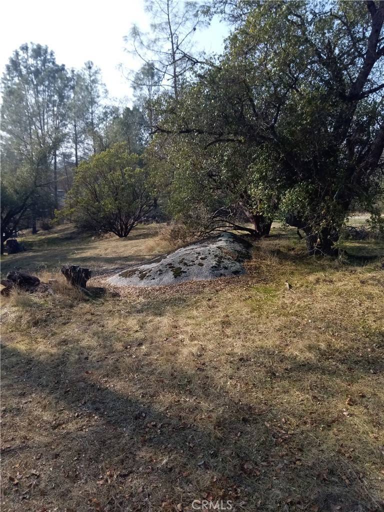 Coarsegold, CA 93614,0 Lot 856 Deep Forest DR