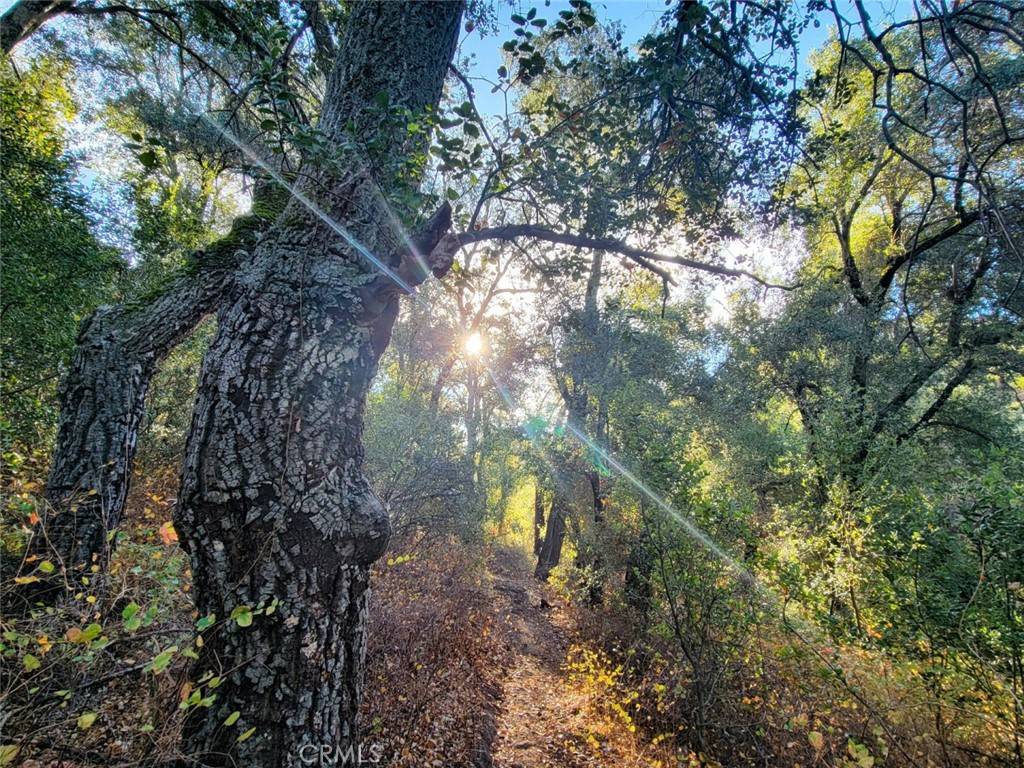 Santa Ysabel, CA 92070,5049 CA-78