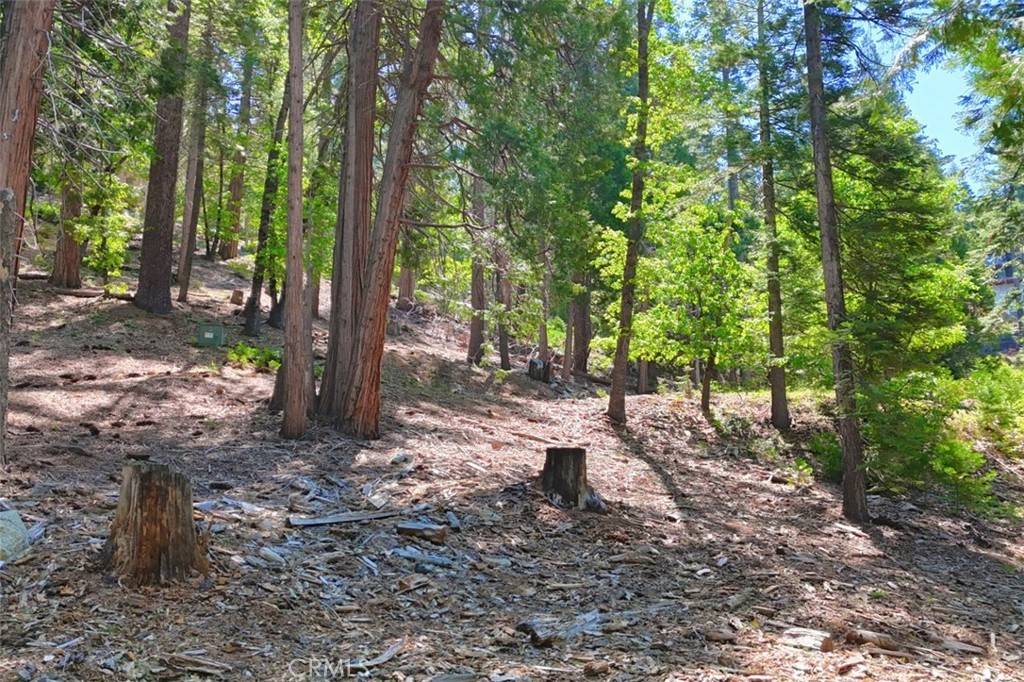 Yosemite, CA 95389,7220 Yosemite Park WAY
