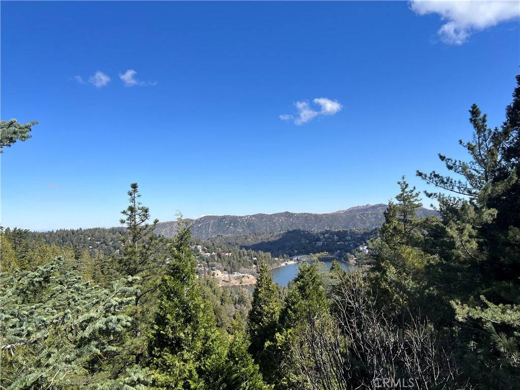 Crestline, CA 92325,24356 Altdorf DR