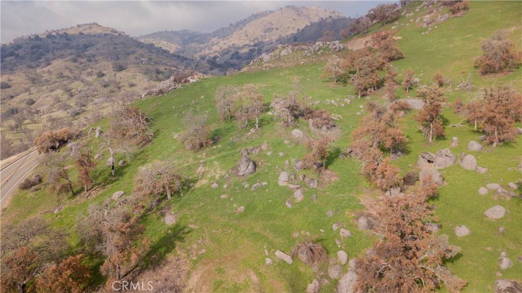 Squaw Valley, CA 93675,0 Pepperweed