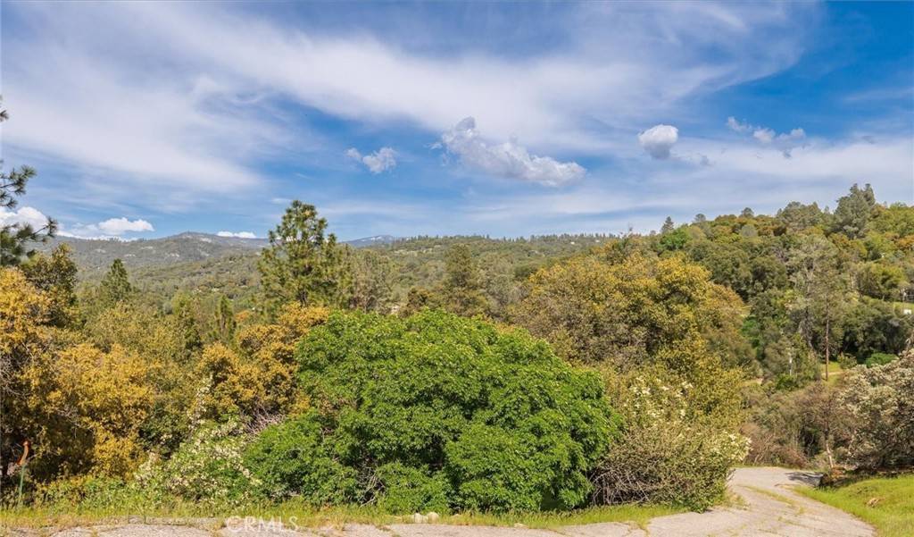 Oakhurst, CA 93644,50566 Critter Creek LN