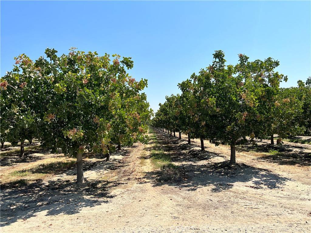 Alpaugh, CA 93215,10975 Avenue 16