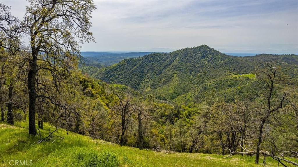 Ahwahnee, CA 93601,0 40 AC Potter Ridge Fire RD