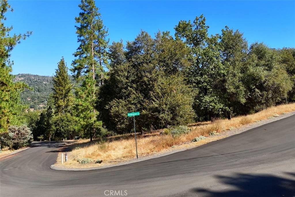 Oakhurst, CA 93644,0 Lot 10 Timberwood LN