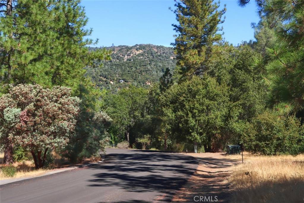 Oakhurst, CA 93644,0 Lot 10 Timberwood LN