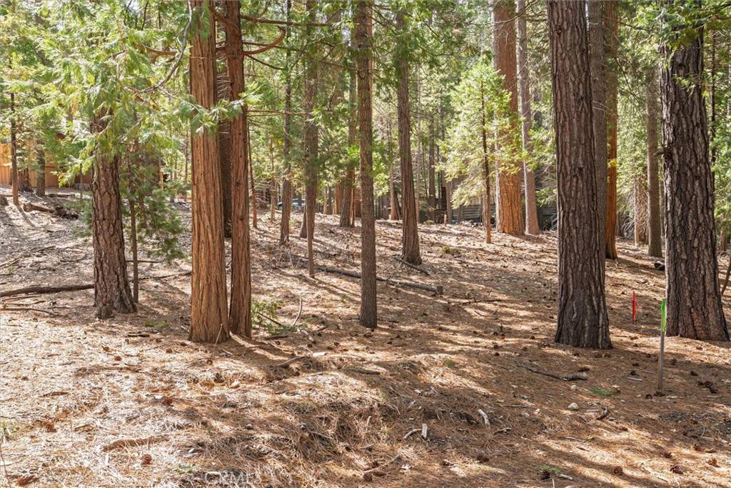Wawona, CA 95389,1 Koon Hollar