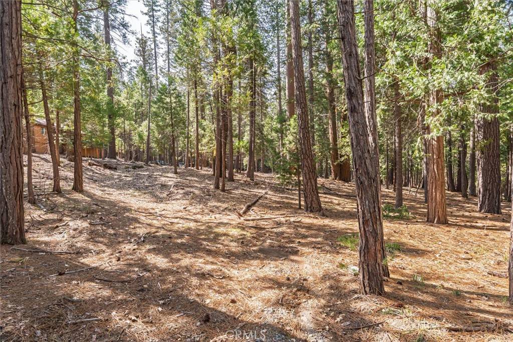 Wawona, CA 95389,1 Koon Hollar