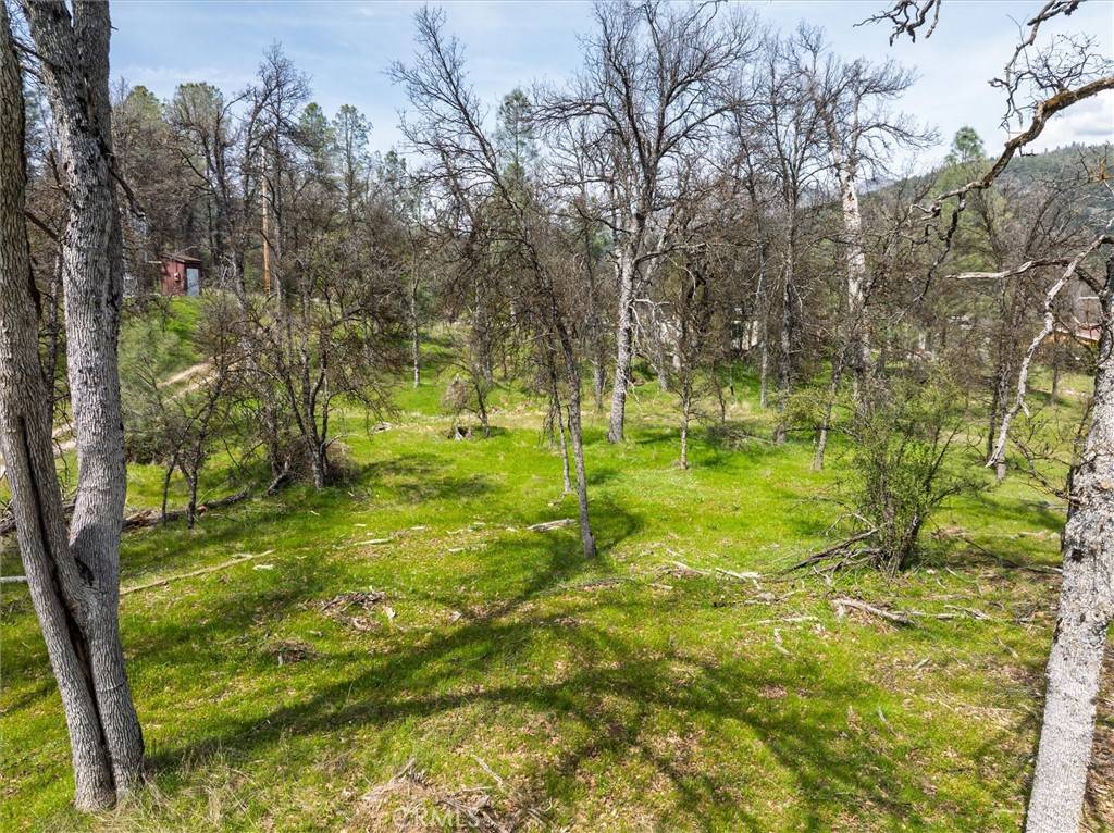 Oakhurst, CA 93644,0 Springwood CT