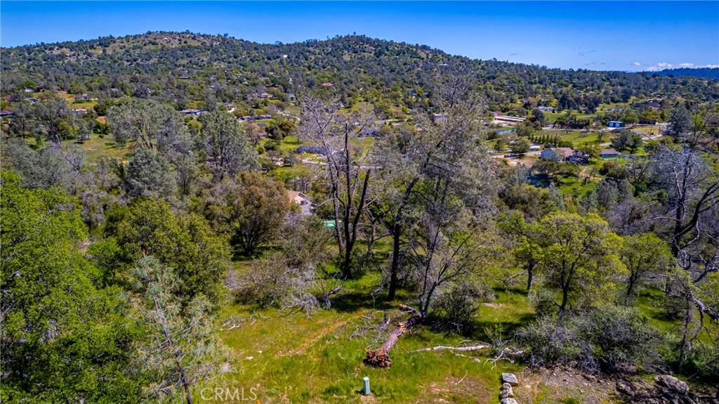 Coarsegold, CA 93614,1 Jim Bowie CT