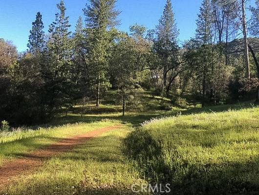 Midpines, CA 95345,4743 Buffalo Gulch RD
