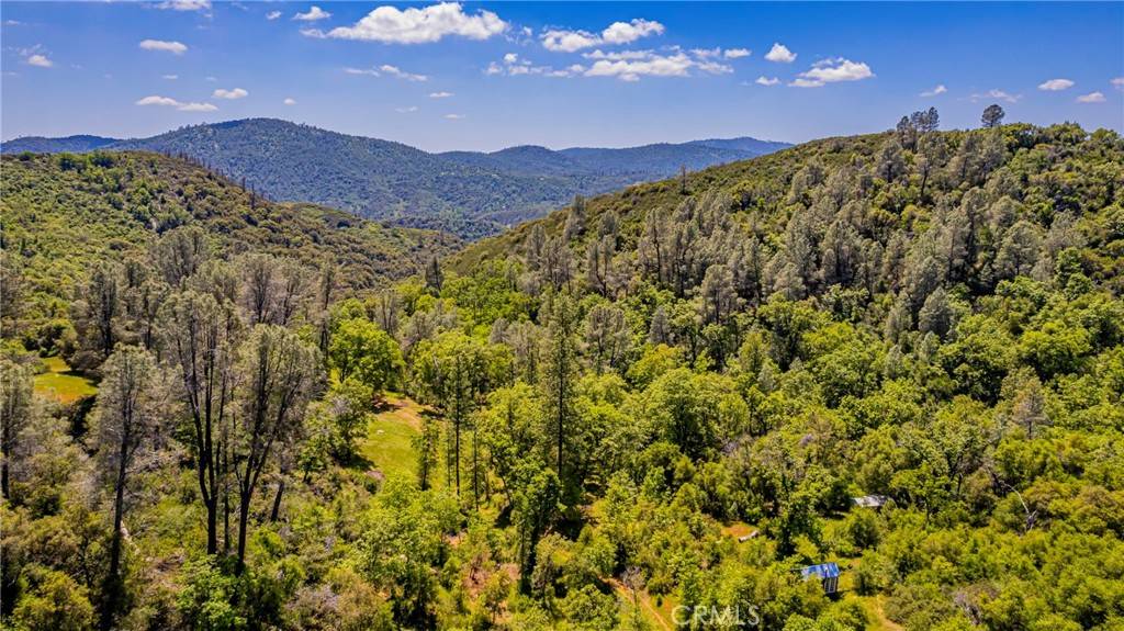 Midpines, CA 95345,4743 Buffalo Gulch RD