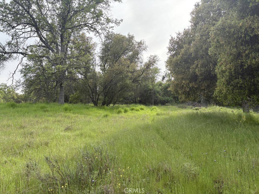 Coarsegold, CA 93614,0 Blackfoot RD