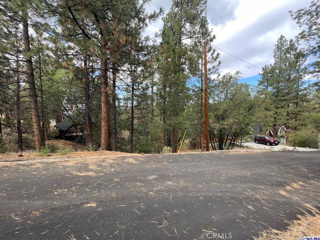 Big Bear, CA 92314,600 Travertine RD