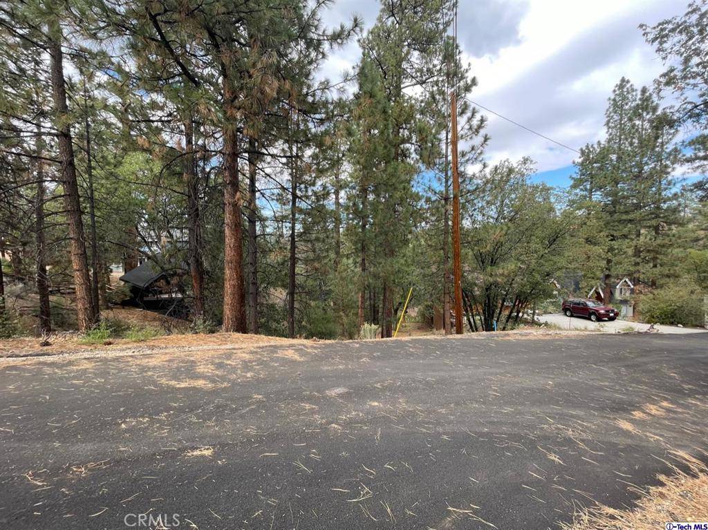 Big Bear, CA 92314,600 Travertine RD