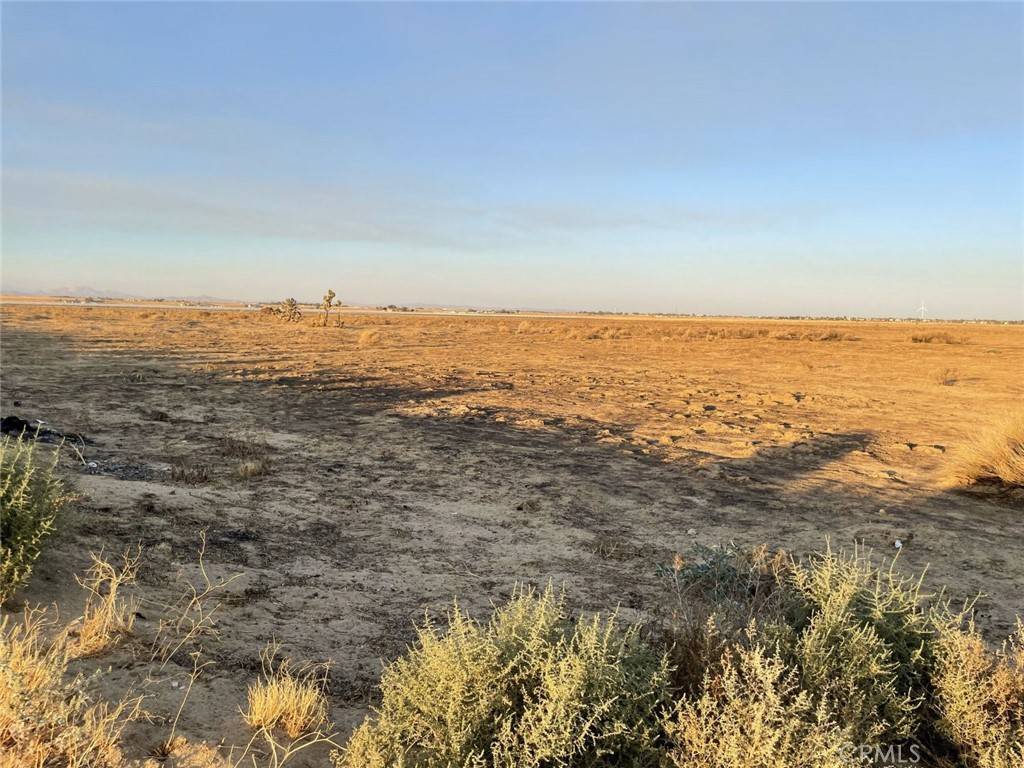 Del Sur, CA 93536,80 W Avenue J16