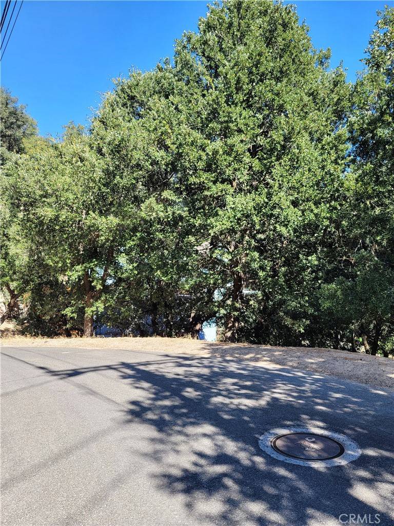 Crestline, CA 92325,0 Berne DR