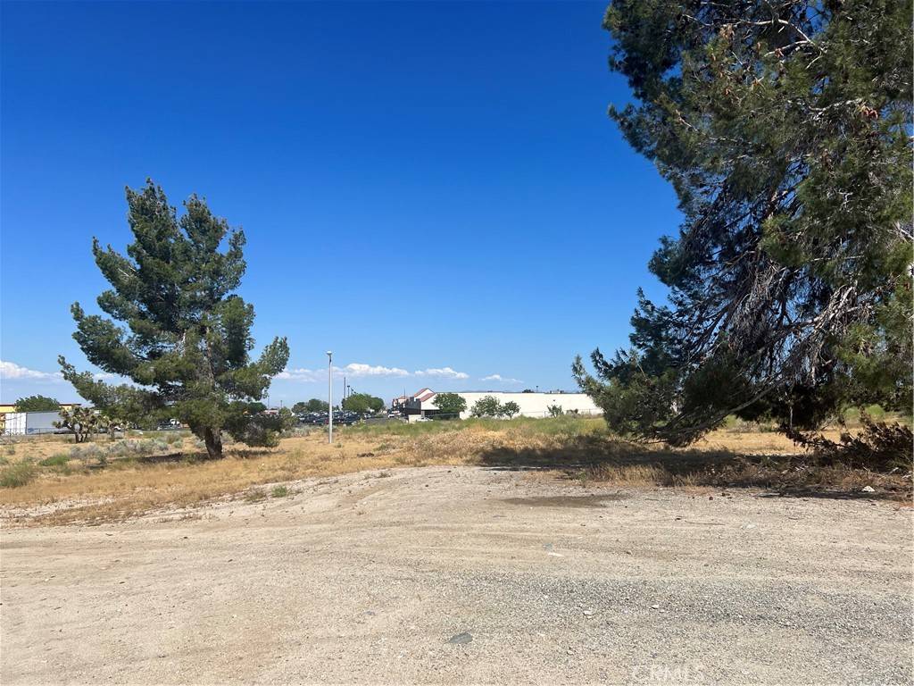 Phelan, CA 92371,9641 Malpaso RD