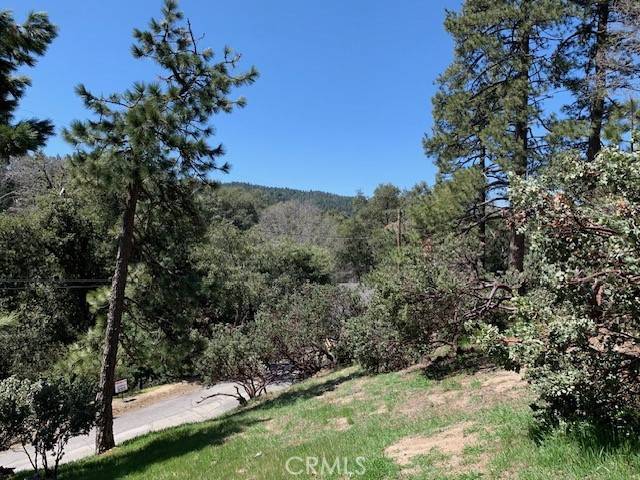 Crestline, CA 92325,0 Arth DR