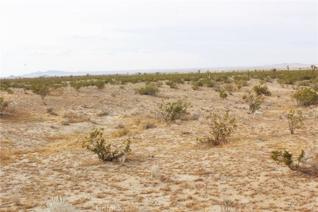 Black Butte, CA 93591,0 Powerline RD