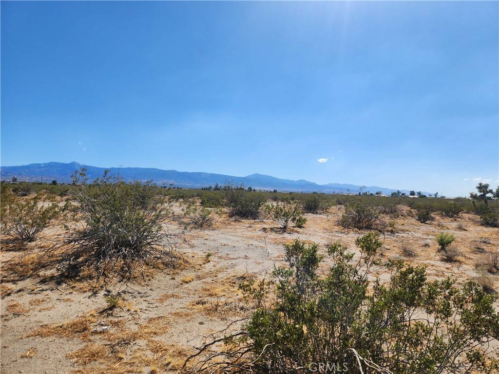 Phelan, CA 92371,1 Monta Vista RD