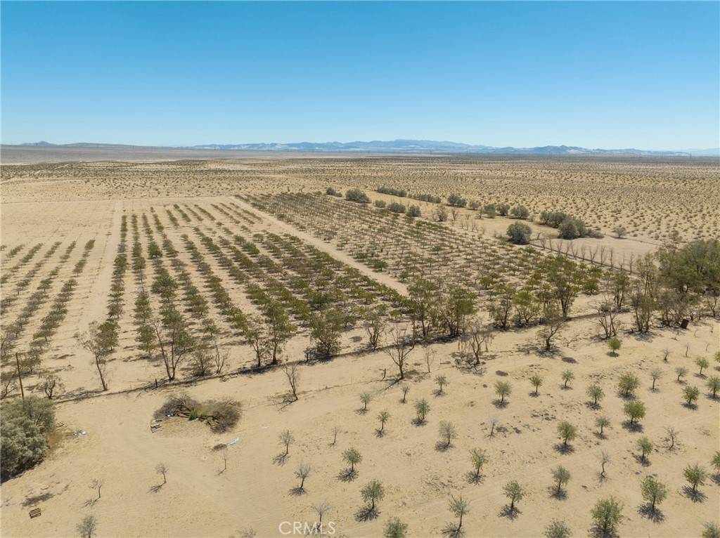 42797 Navajo Newberry Springs, CA 92365