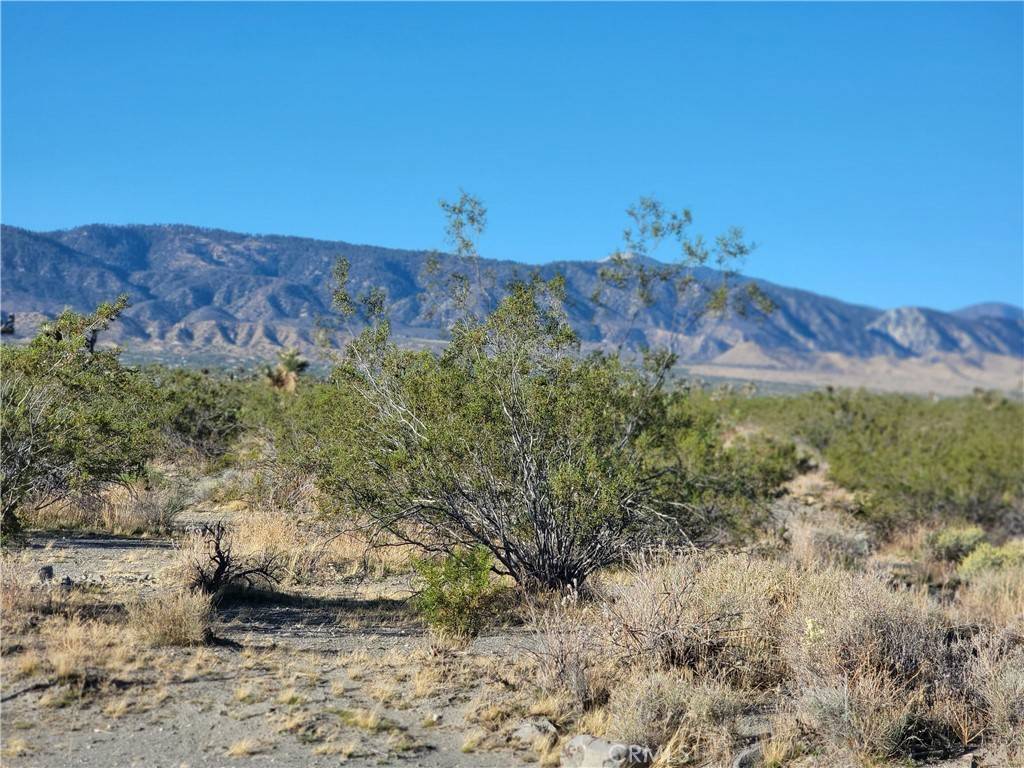 Pinon Hills, CA 92372,0 Buckwheat RD