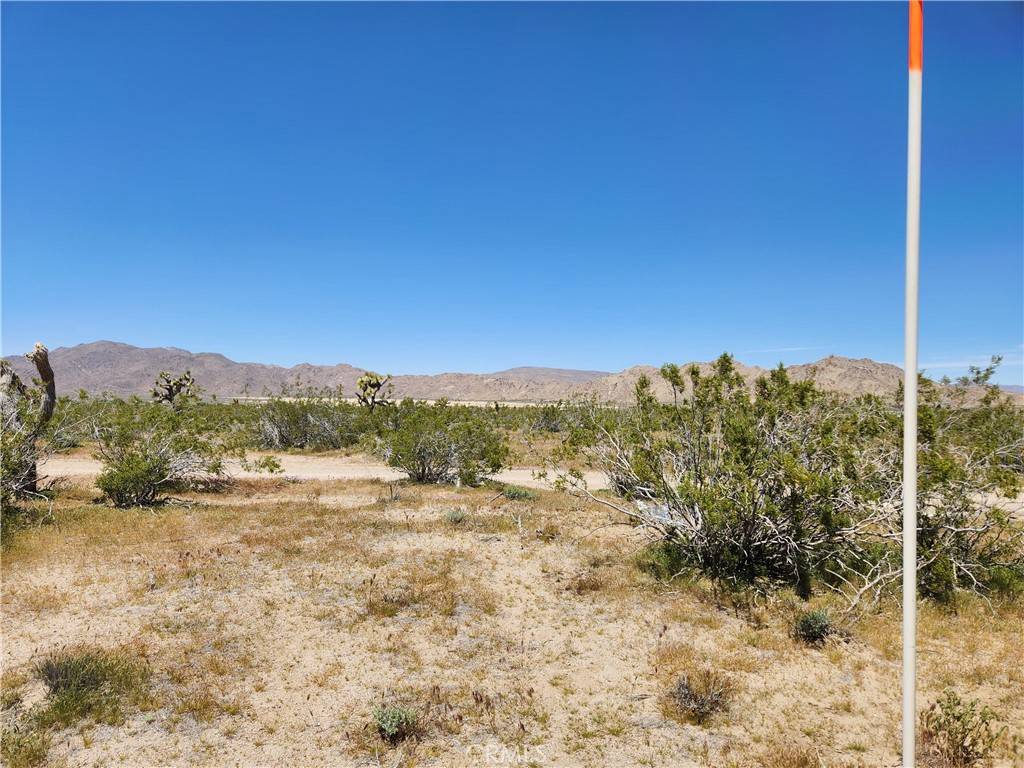 Lucerne Valley, CA 92356,2 AC Akron RD