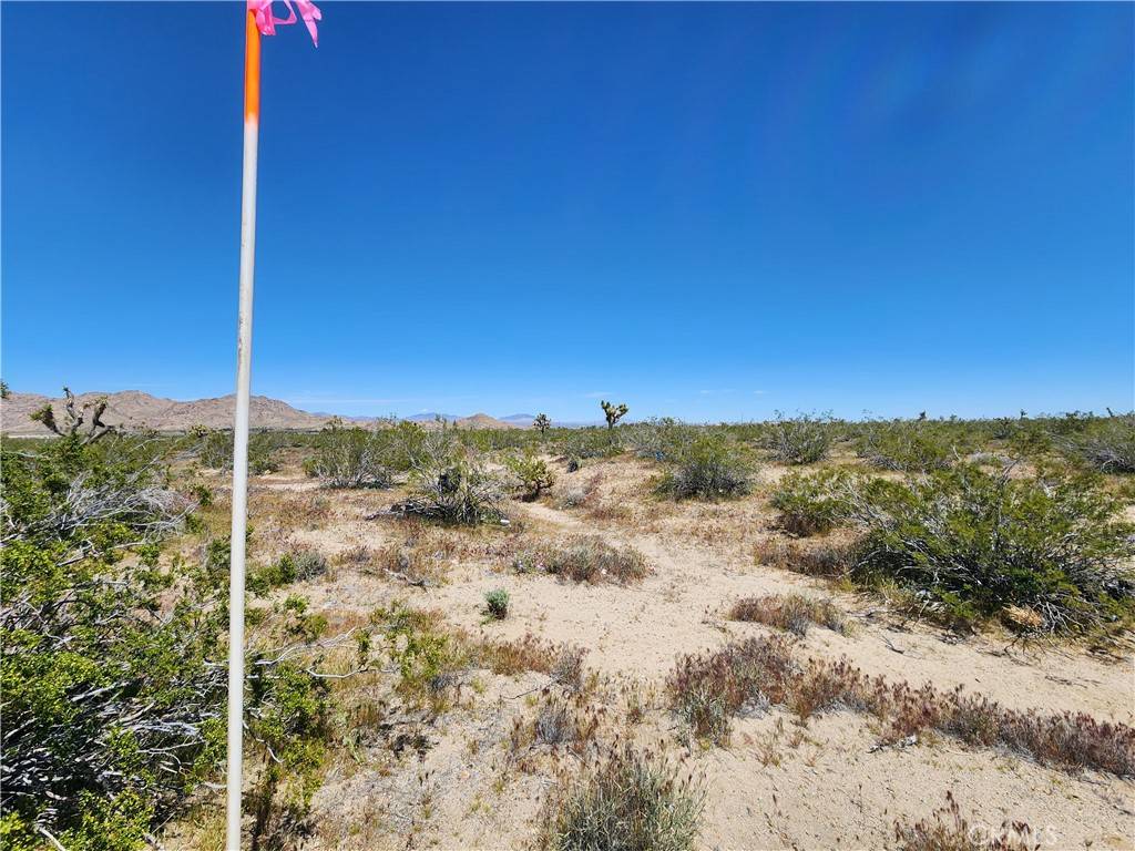 Lucerne Valley, CA 92356,2 AC Akron RD