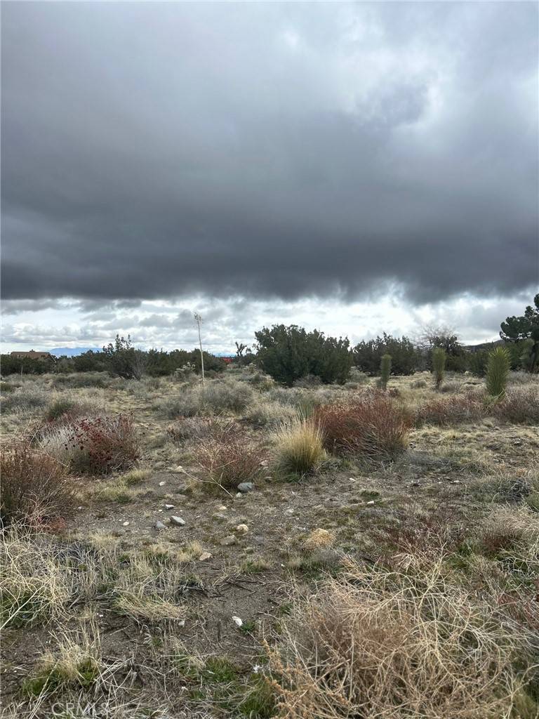 Pinon Hills, CA 92372,0 Phelan RD