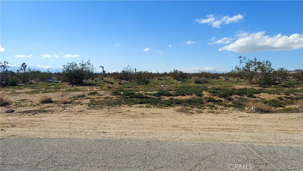 Adelanto, CA 92301,0 Lacy CT