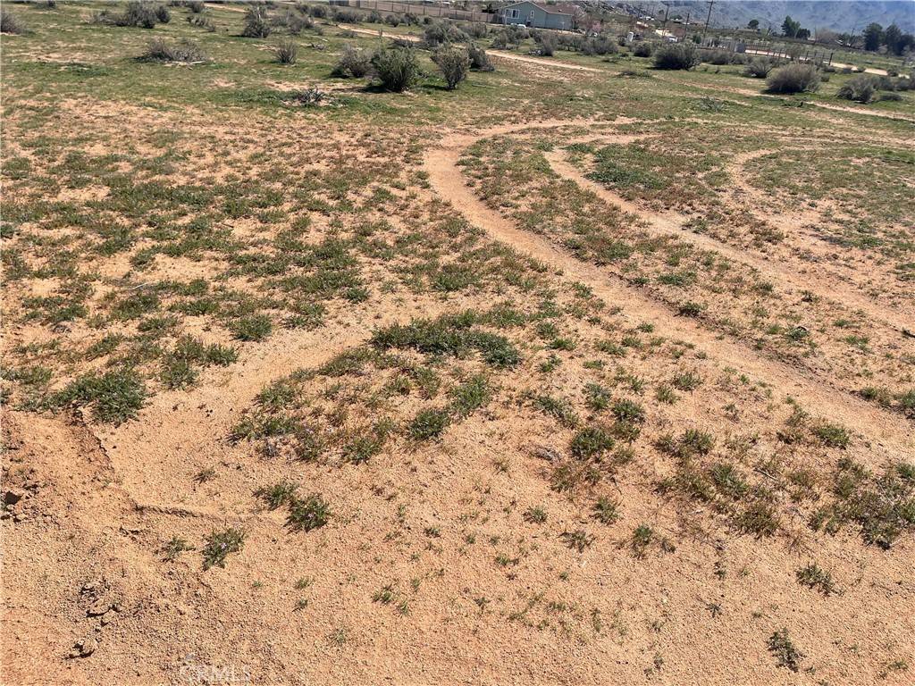 Apple Valley, CA 92307,0 Shirwaun RD