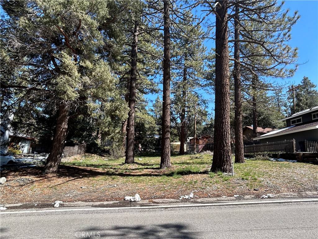 Wrightwood, CA 92397,0 Sheep Creek DR